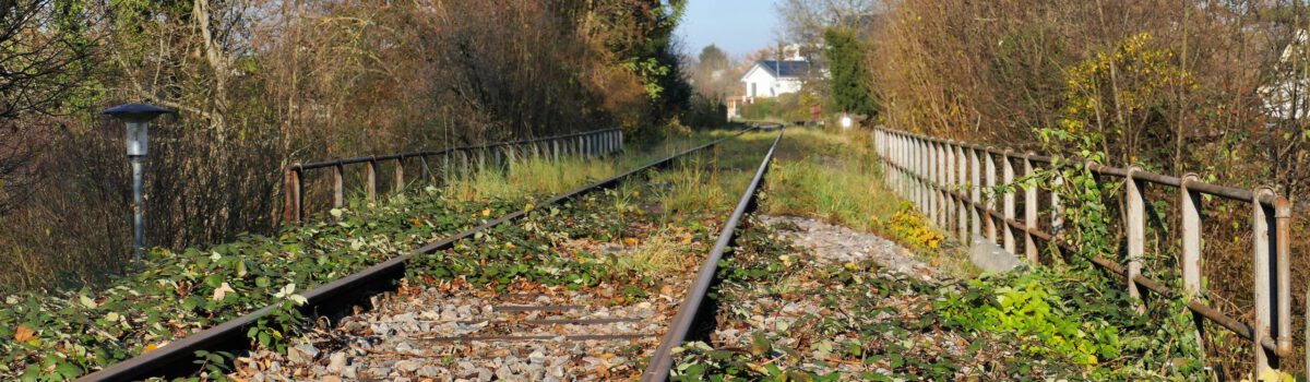 Bürgerinitiative         RiWo-Bahn